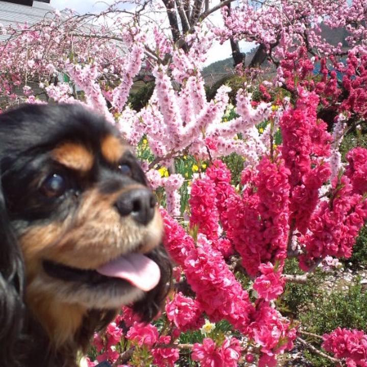 104313ee 2ab8 4aa6 a184 bf7b9105bfb6 1522558135546