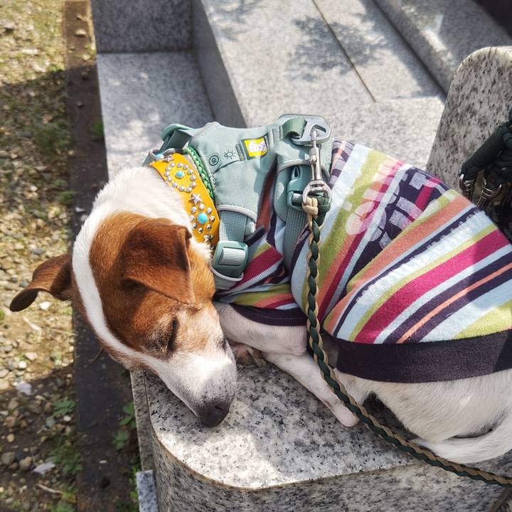 10433441 8496 4edd ae25 f90143236e9a 1774185054792