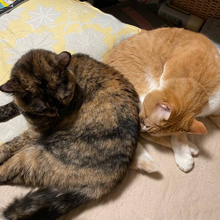 10433e03 db3d 45d5 86c8 cdc249e6e98a 1650806677980