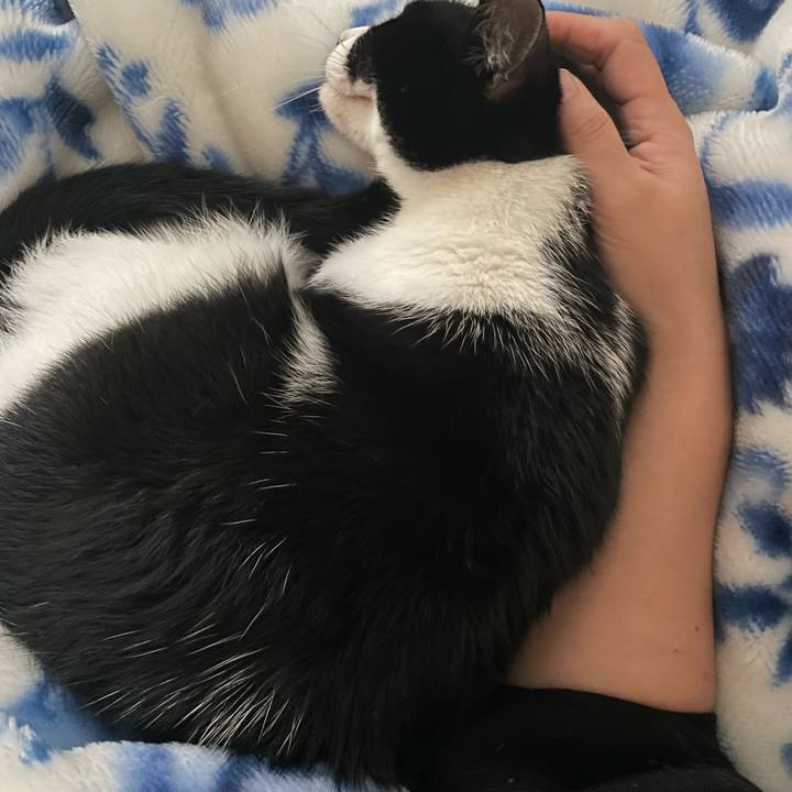 1043454a 7c21 4c56 858c 137432fe1edf 1696849513368