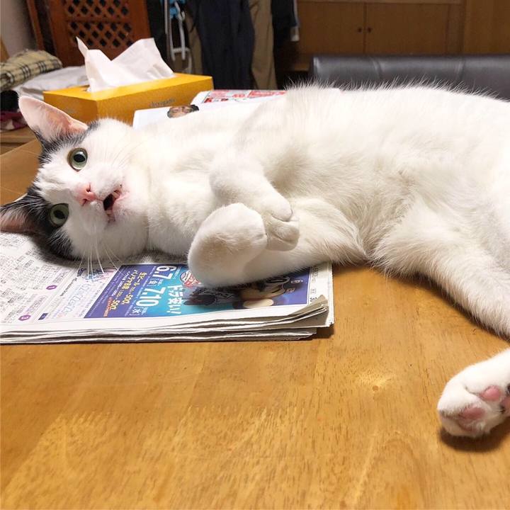 10435291 77d8 4f5d 810e 24ac62252f31 1558620388198