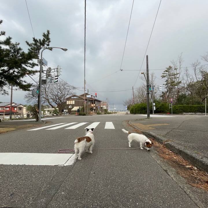 10435ee1 0429 4578 beb8 63341c4a773e 1743287968798