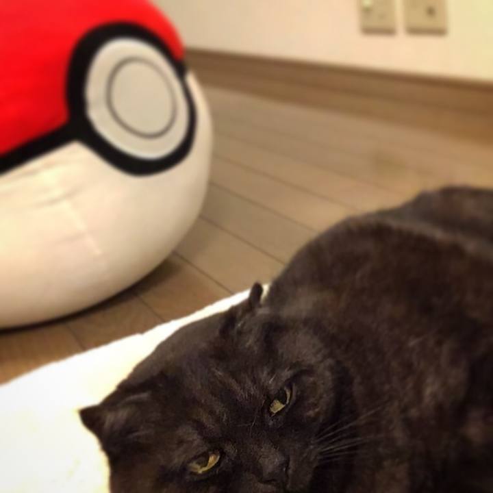 104364b4 6cb5 43b0 b66f cd776d345f5a 1519299075908