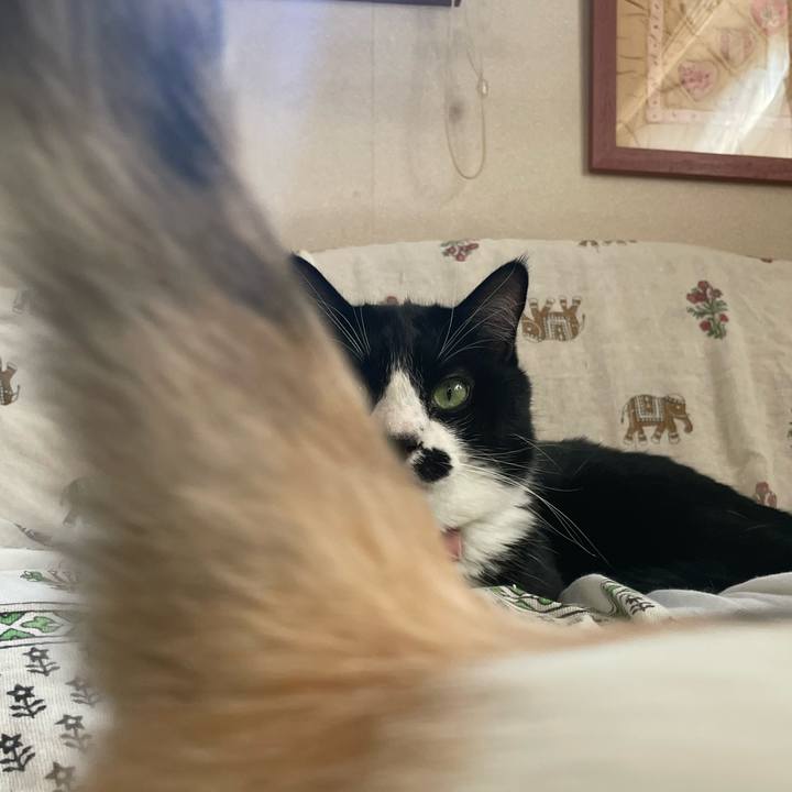 1043763a de6b 4b4d b54e 71cf6bf4ee54 1758074683310