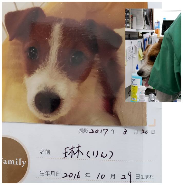 10437b0b e02b 4a99 b655 65dc277e23cb 1557646070884