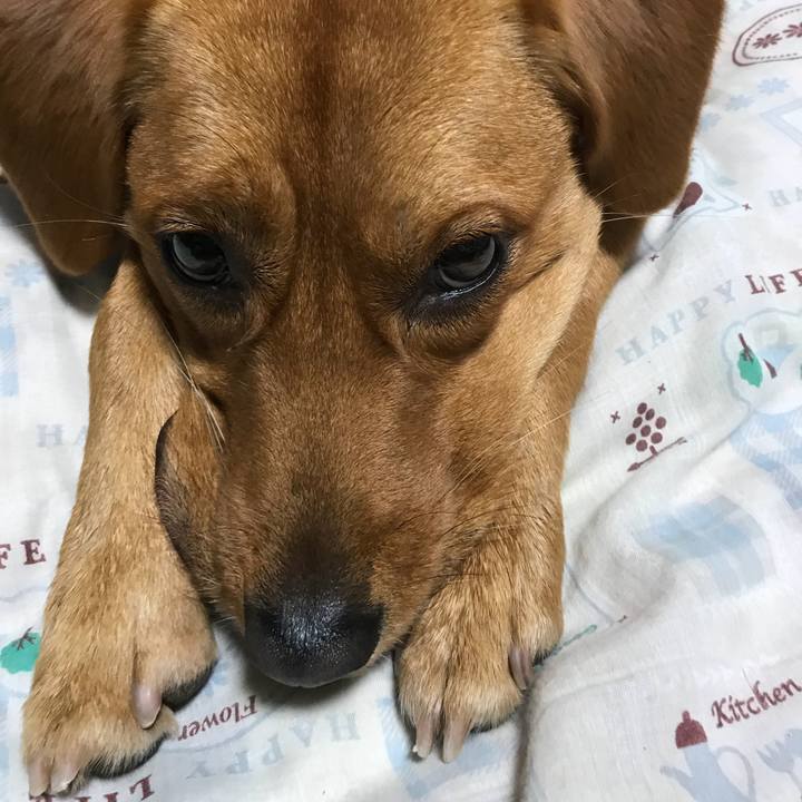 10438971 4062 4584 b176 f6b2c5dddbc0 1514000361027