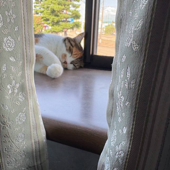 104390d2 0008 4ddd be1b cb4fdbbba613 1755412790907