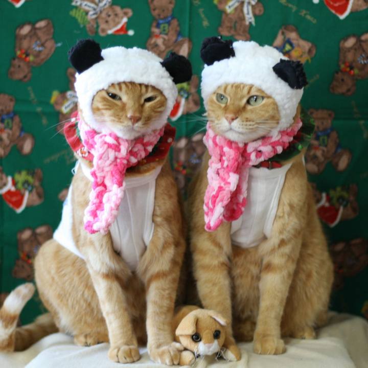 1043a8d6 1653 47a2 8400 2f0c7e6b5211 1513746860669