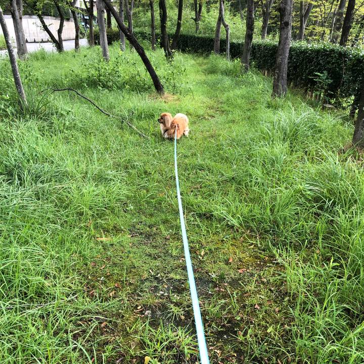 1043b5c0 24ad 42e4 a413 1b0eb1740669 1565996306035