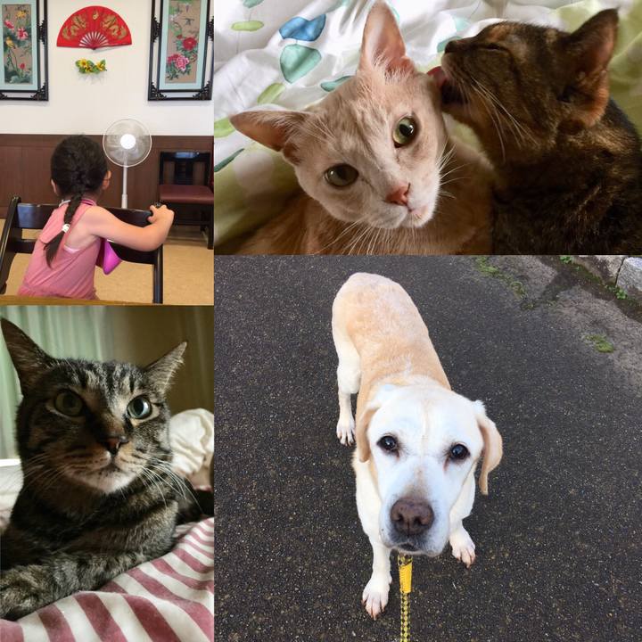 1043edbf 235a 43c8 a8de 097ce7d4f679 1596408292332