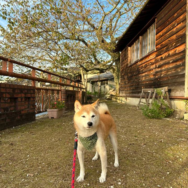 1043fde8 ad21 4170 a231 ec44ed7b97a3 1697192788576