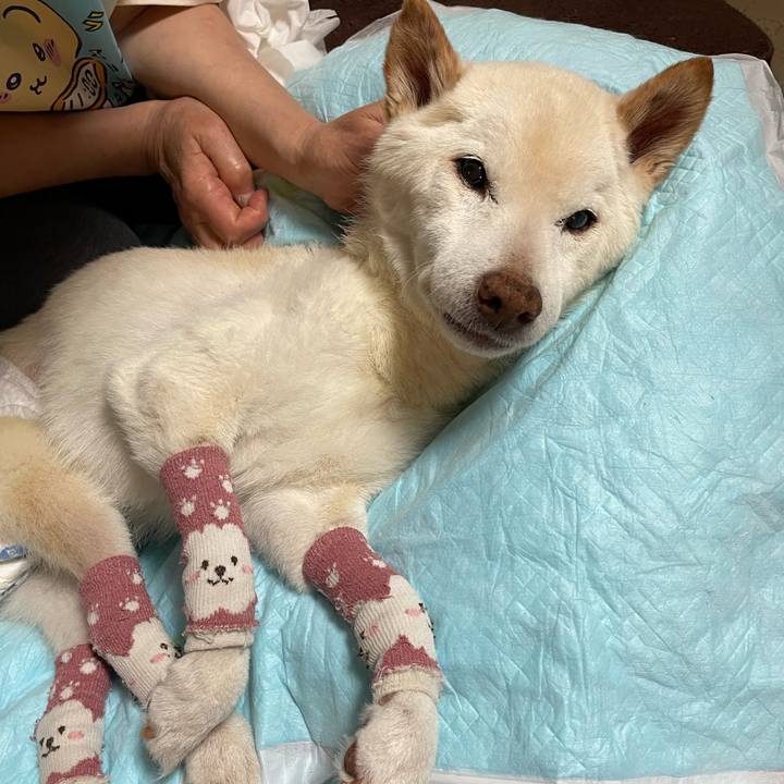 10440275 9590 4faf a503 a38aa311c2ed 1683442444316