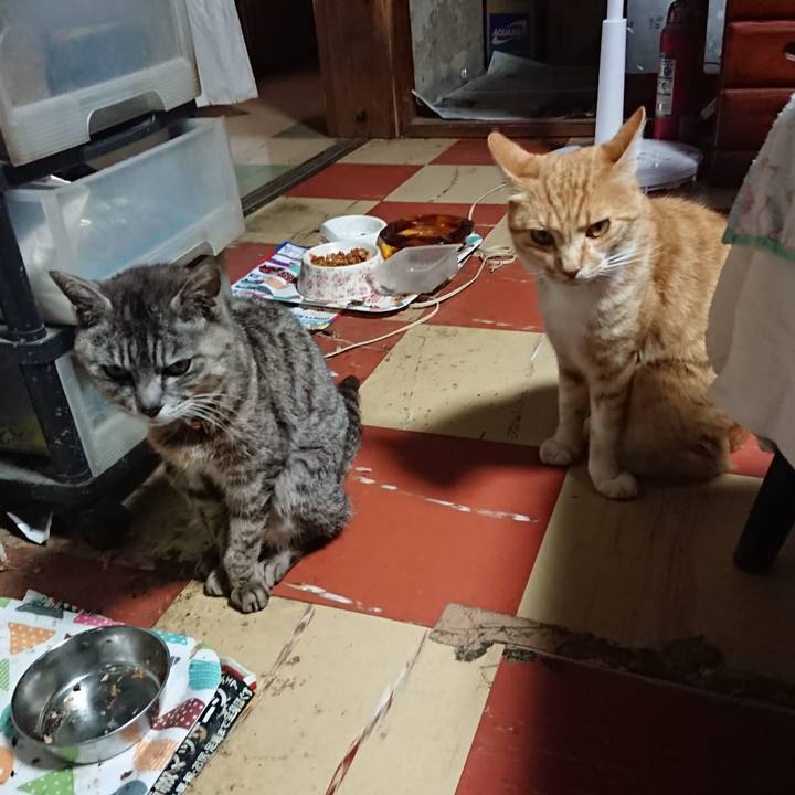 10443229 bfd1 49d0 8ef1 c4406228cfa8 1592470637025