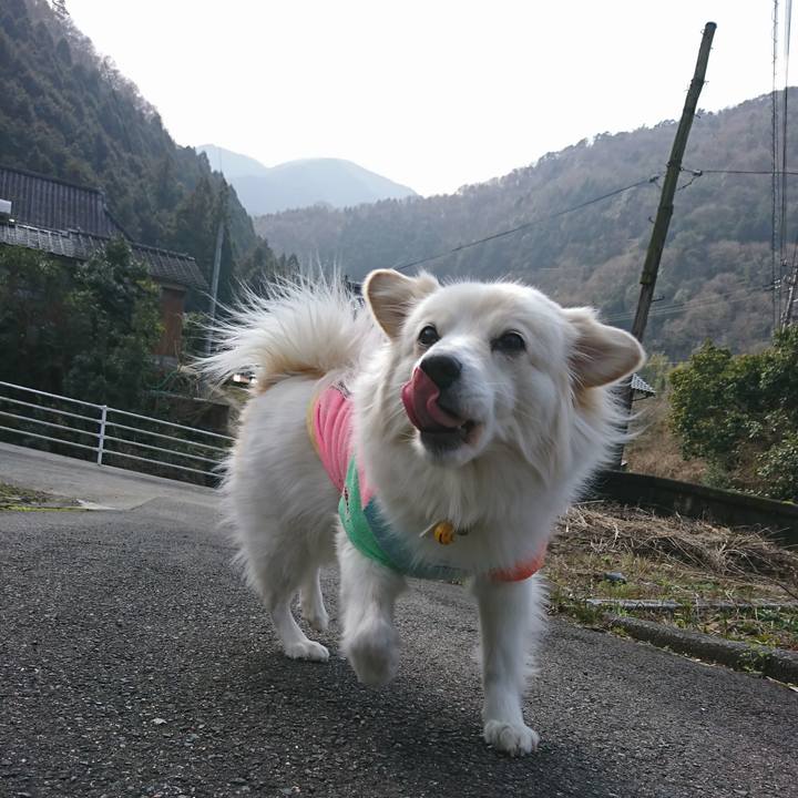 1044476f bcec 46e9 af75 e1eabb7e58eb 1551408126805