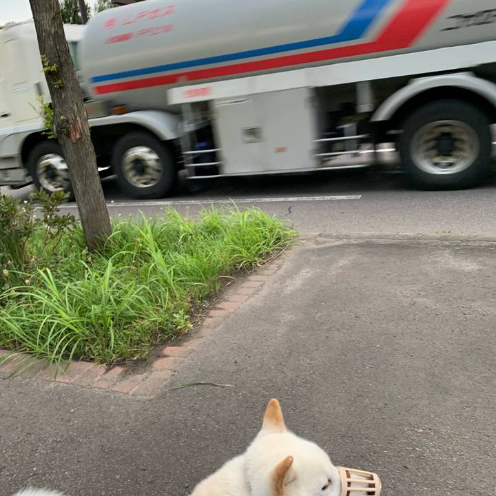 10446ba4 a70c 463b 8bde 5c1aa4929362 1568413741594