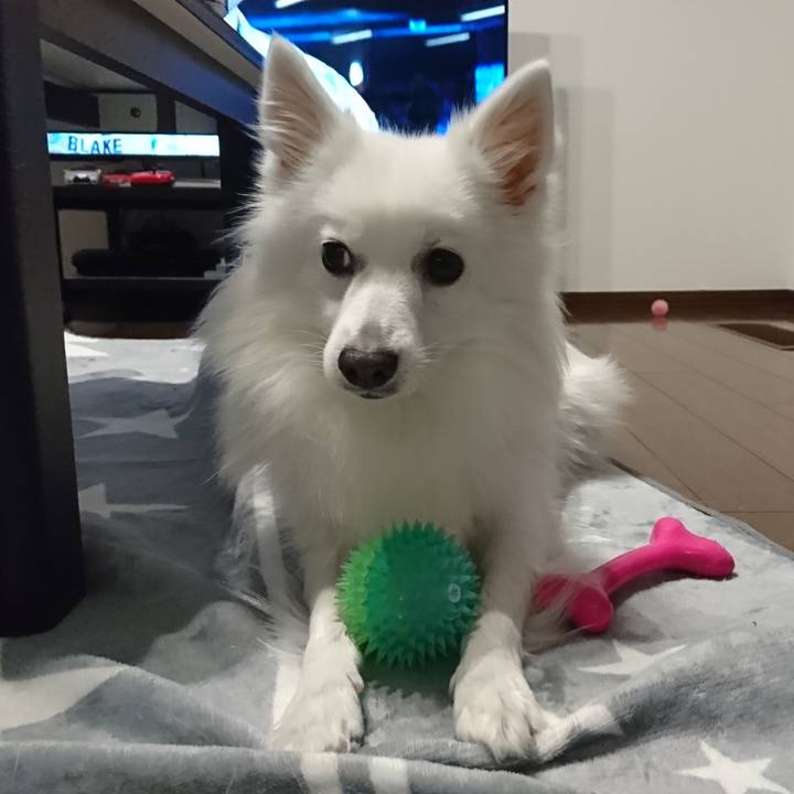 10446fab 3d7f 46f2 97e9 c50715863ec1 1582982512140