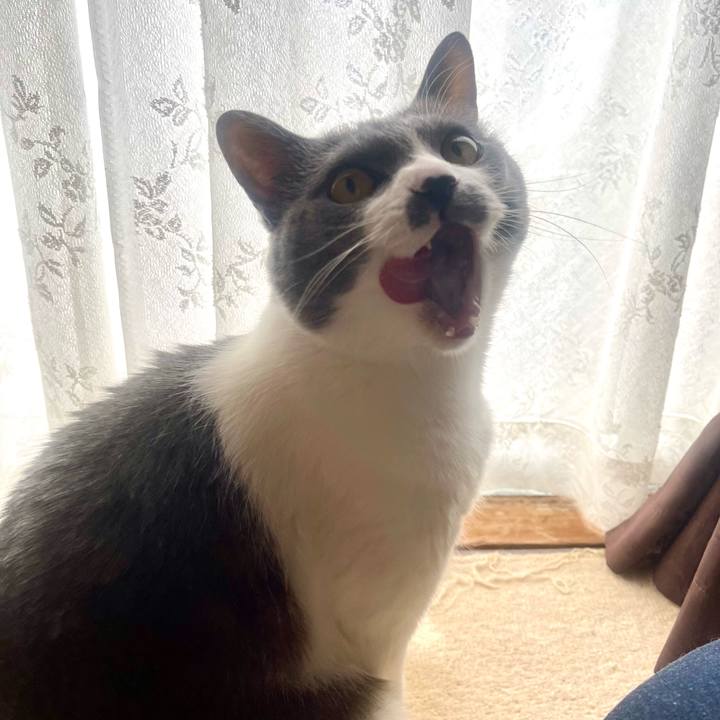 104480b7 415b 4607 8f65 4ac18a0779f8 1744241690187