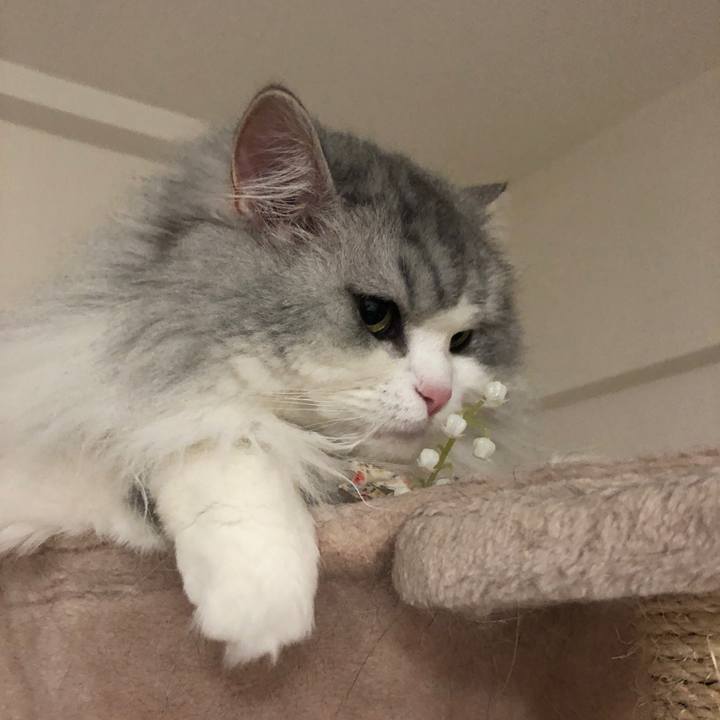 1044f5a1 173f 4933 a5be 89a87d9f1b84 1622729203527