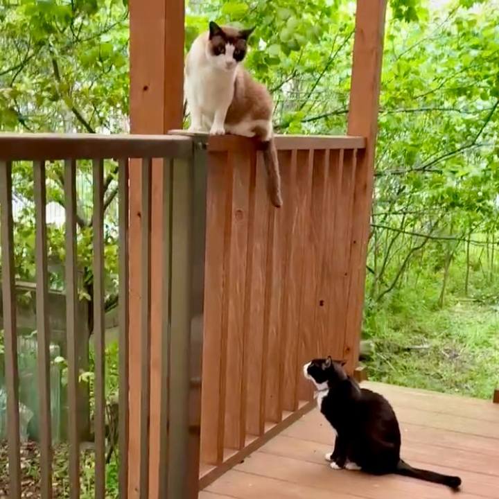 1044fda3 ad02 4cea b051 09d10efde9b0 1746847056678