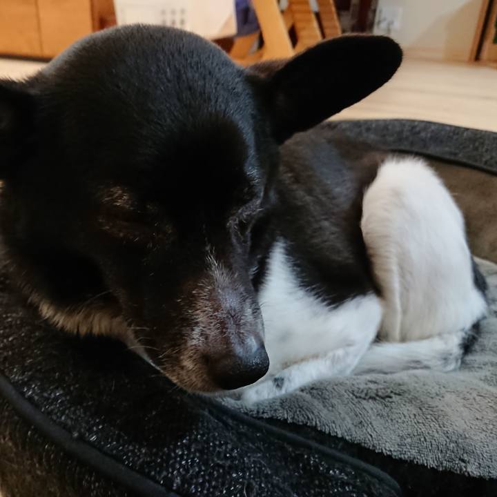 10450240 8849 4bf1 8f4a 91597d36603b 1587639483404