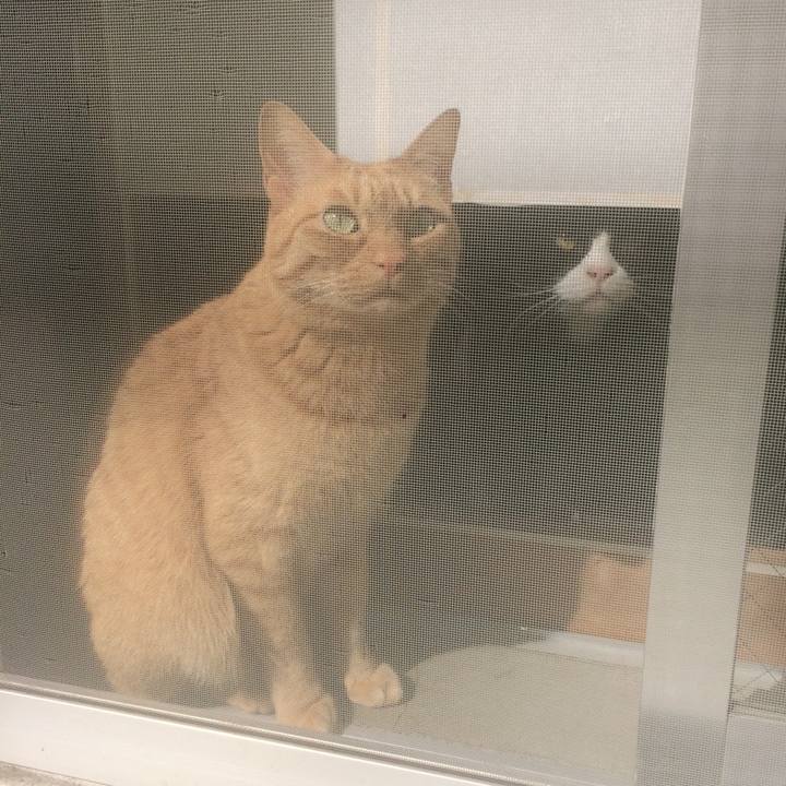 104530fc 428a 4169 8a73 eaa75c54c9cf 1553387336009