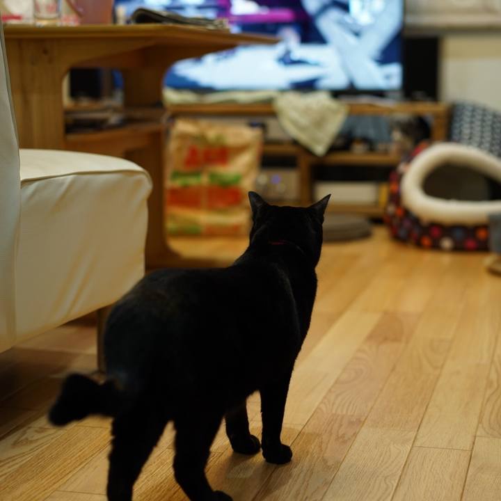 104557b4 023e 47aa a469 a3351934ebdd 1549324048815