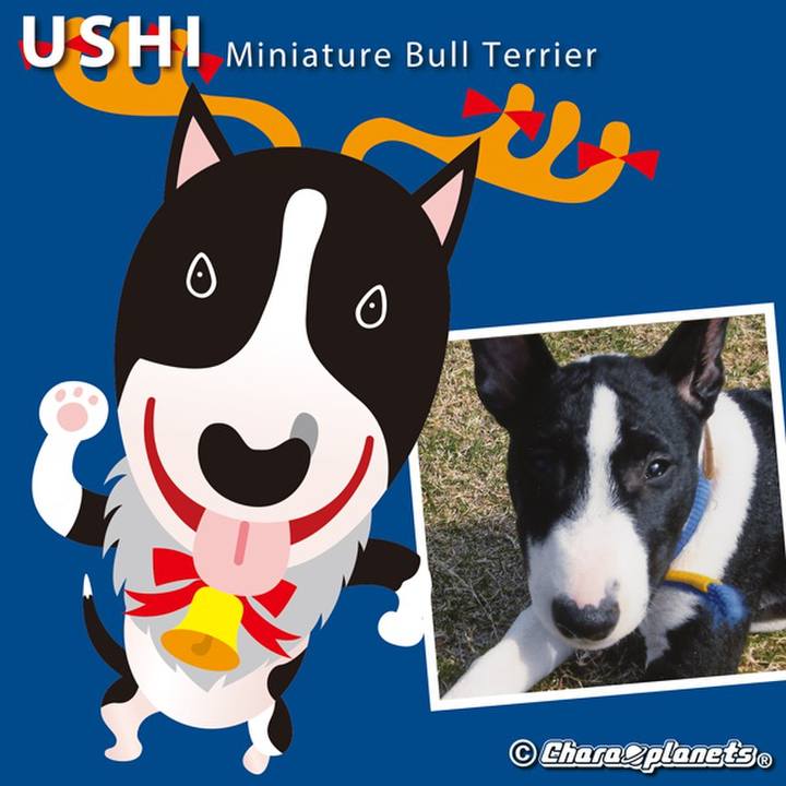 1045685c c2d8 4282 b6b5 629e445d3f0b 1565743175569