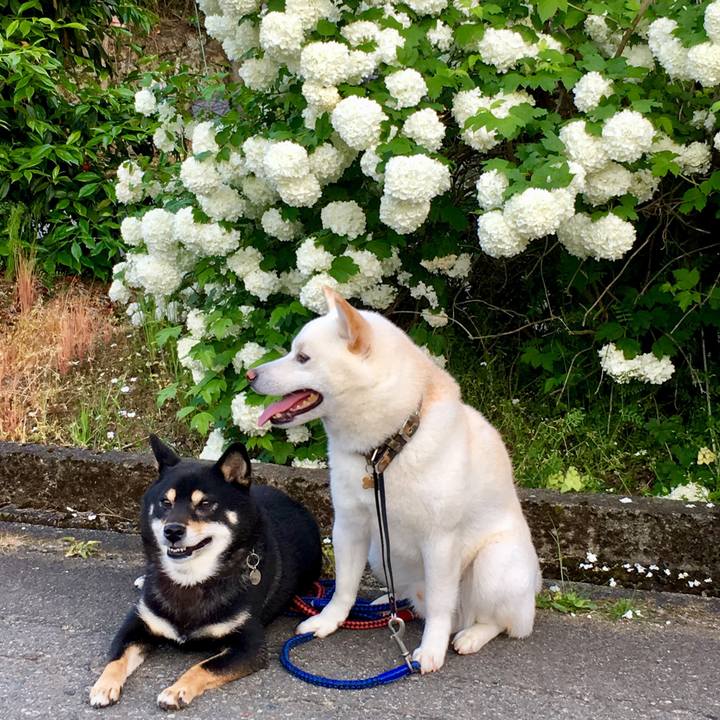 10457883 c9d4 4c00 aa79 dcdc01a55608 1525433090895