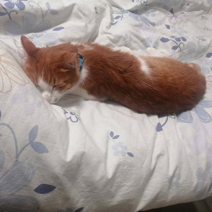 1045aba4 5798 4308 8313 619d6f4819a1 1620340821083