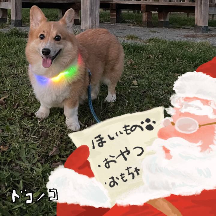1045b9ca c5c0 4fcc ba05 4e3df1455d4e 1730474439330