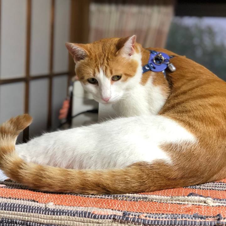 1045c95f 46b9 4cc0 81b1 900466ed5ed0 1539857258213