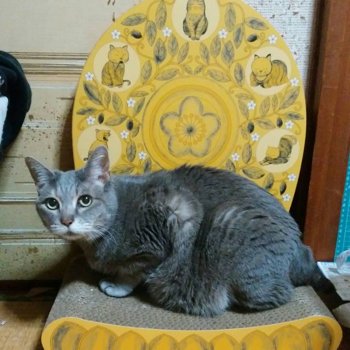 1045d6e7 27e2 48ab 856c 615a28e1a4f2 1589280268363