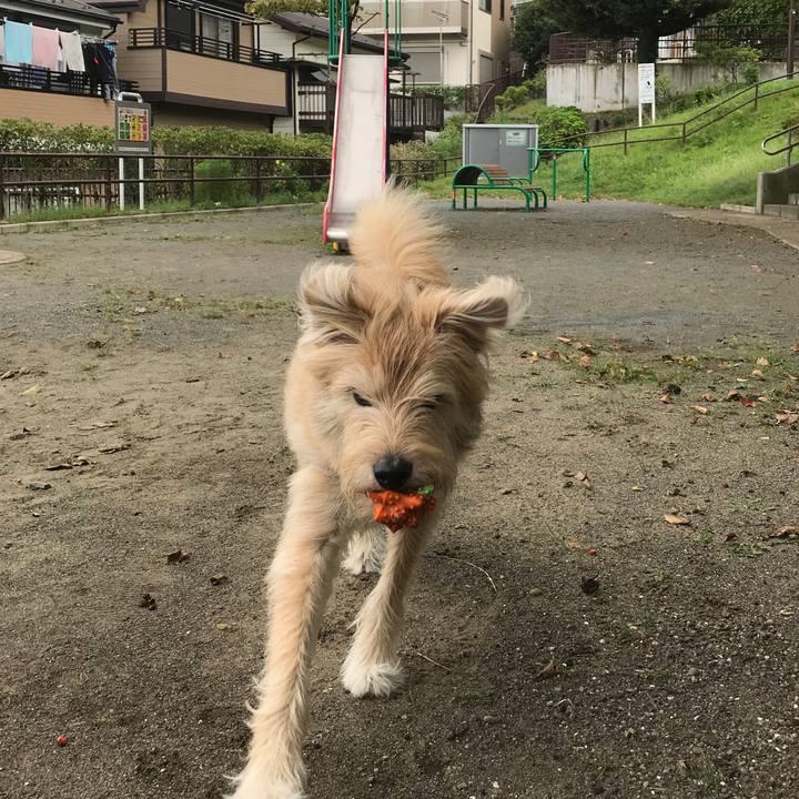 1045fa85 c411 45cb 9b34 8c950dd4905e 1536724177397