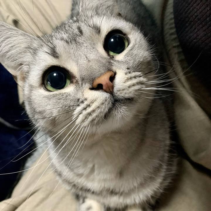 104606c9 8f39 43ad 8814 34f67b018b9e 1643277732273