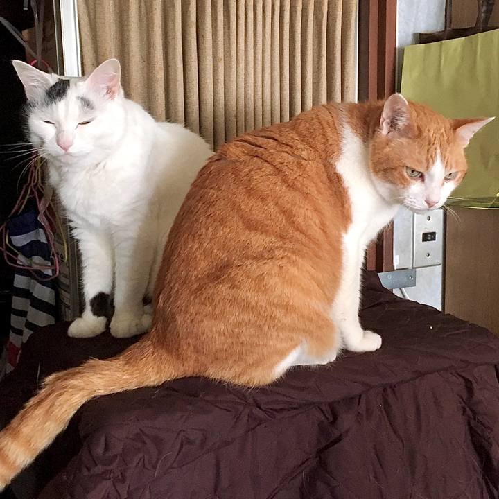 1046073d f099 4568 81e1 a569b9f6b901 1591769784464