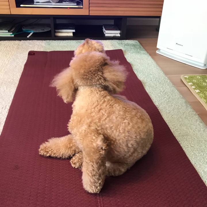 10461910 1f13 4b84 bb6b f7157c668966 1531122262240