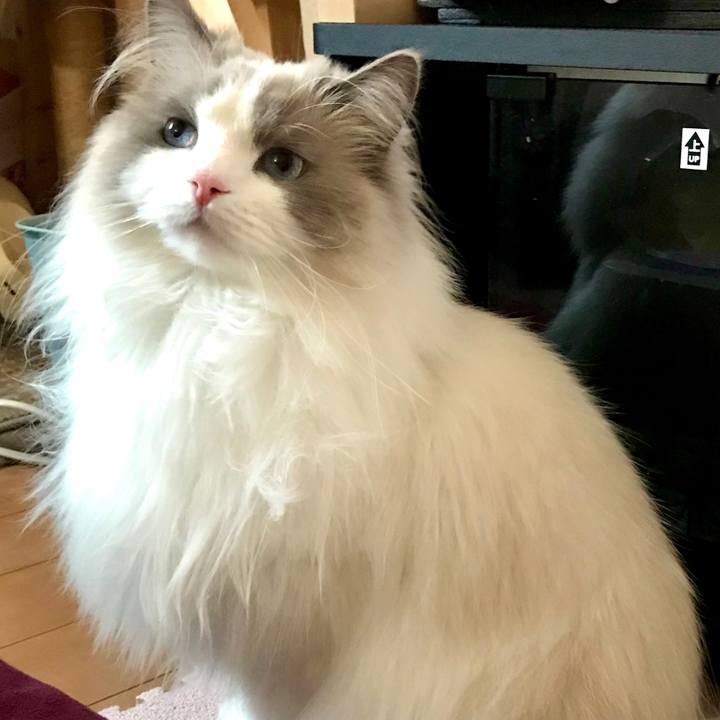 10461b94 0a27 4706 846c 6a611a9a0be8 1586518848239