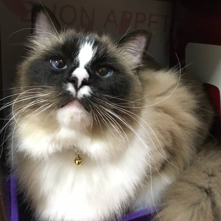 10462b77 f663 4d9f 8c6f 01767fe2e255 1519308272779