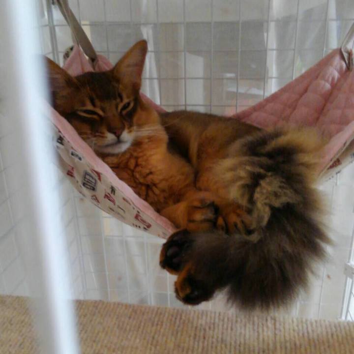 10467c75 2526 4a9c 9e51 06192e66e637 1583454376386