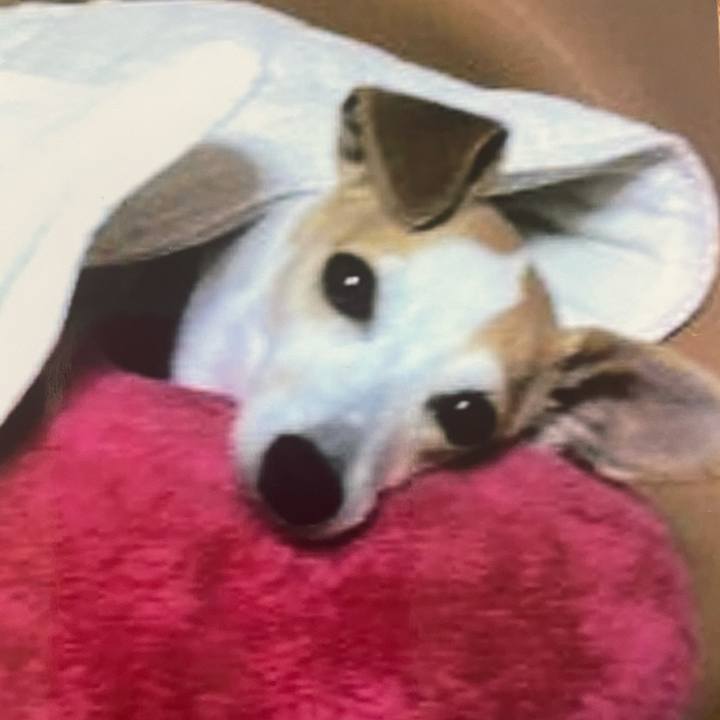 10469741 8279 4390 8be8 ba5d9c1e23b9 1614646588276