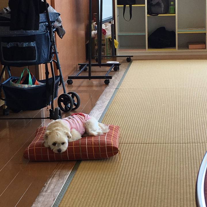 1046c1af 0ee2 4433 b5fc 5074d1d5be18 1523595916274