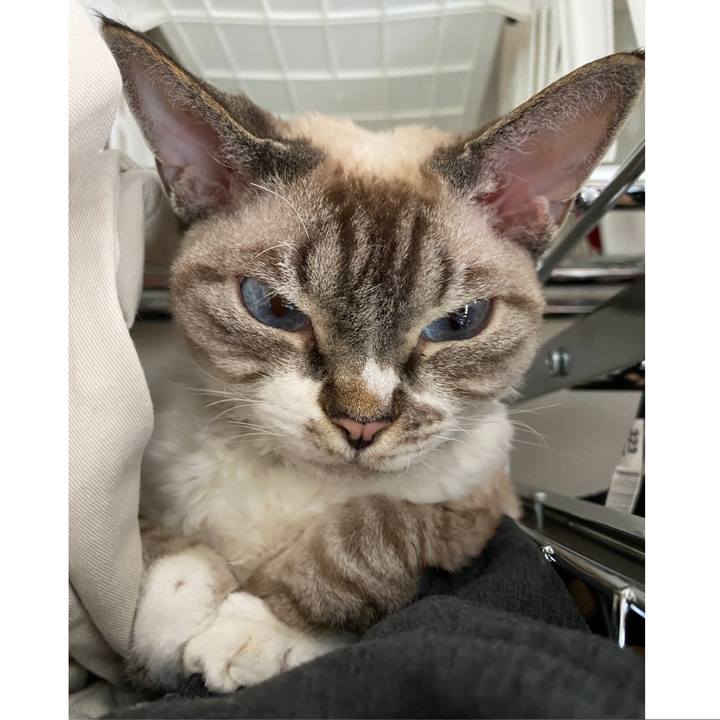 1046d249 5b47 4395 adaf 47554d70e90b 1641267462647