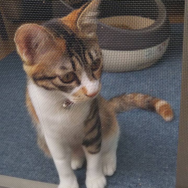 1046ef38 b7a2 4037 8f4a 7223891fffa0 1635751343869