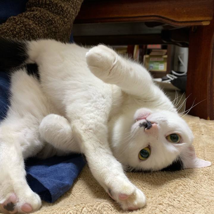 10472c20 1468 494f bdb3 853f348fad53 1582639096675