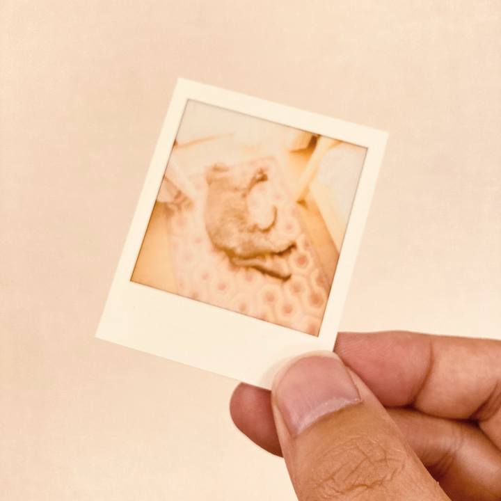 1047476b b366 40ae 9569 ed751869cadc 1627055914924