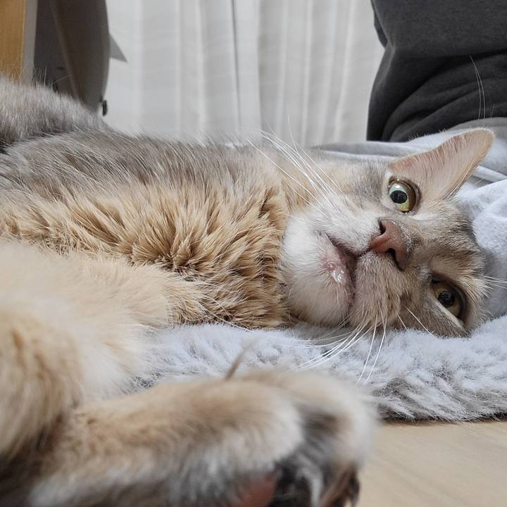 1047651c f69a 4c0b b229 7b730e1c220a 1647091821095