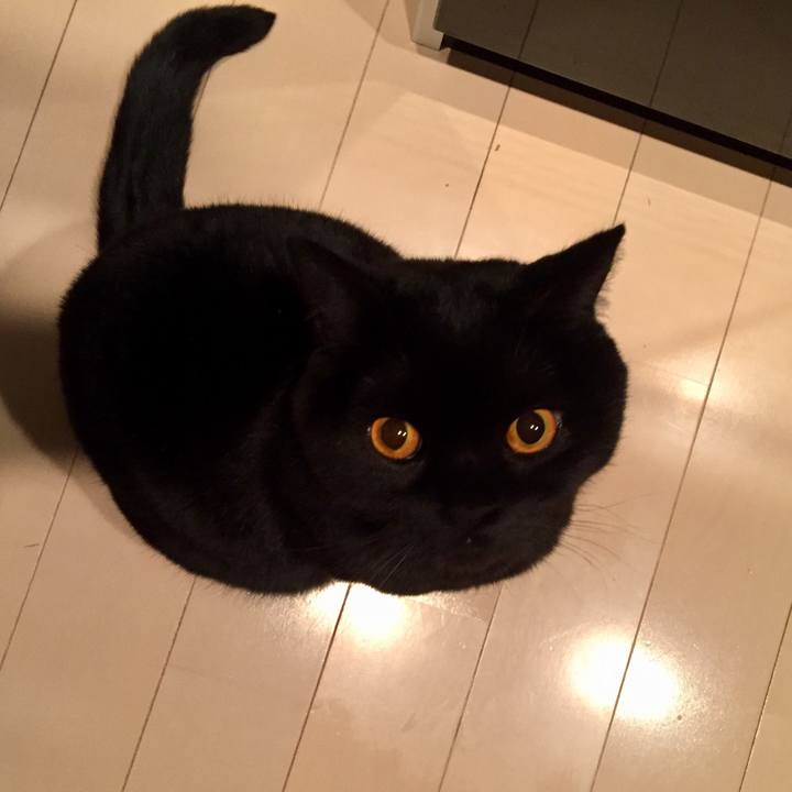 10477661 160b 43cd 98ae f6d21c400e36 1549889853631