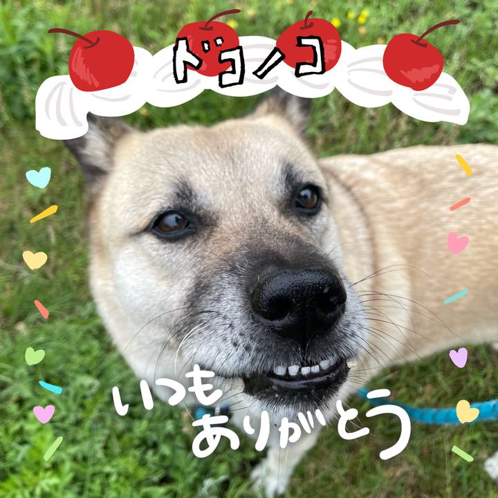 1047a448 626c 4e3e 9cbb b8e529de277c 1685968168695