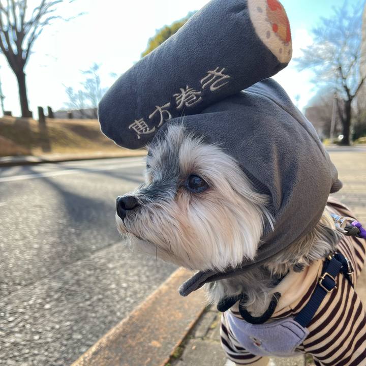 1047d256 e708 4f86 ae0a 1e2bcffecf92 1769932125106