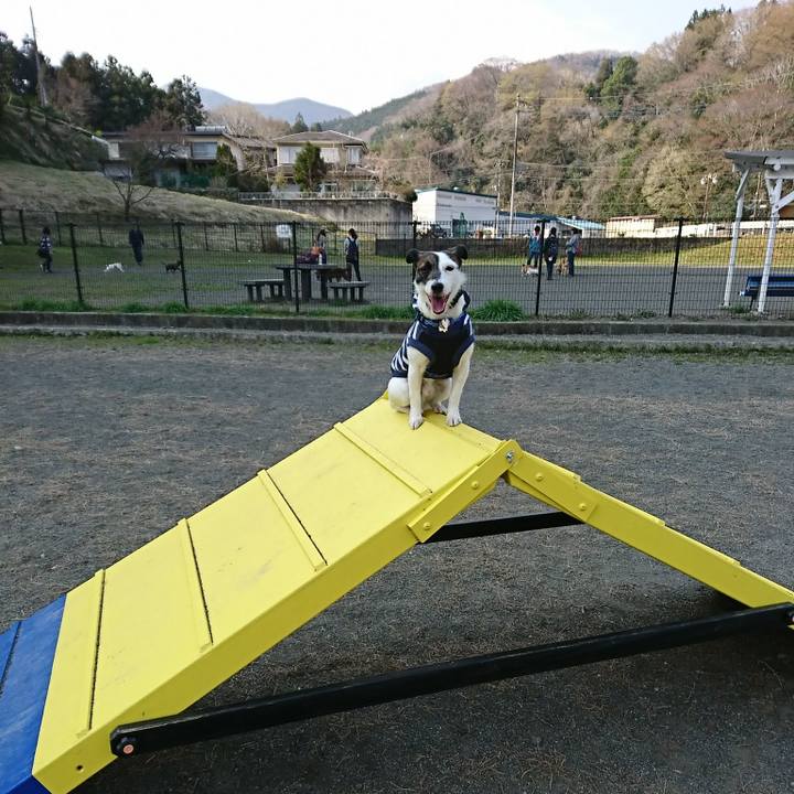 10483c06 2144 4c55 abd1 fe751b3965f1 1522222983212